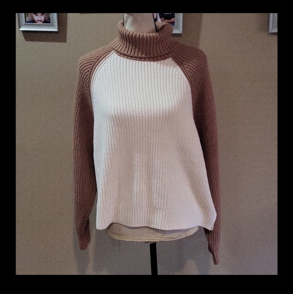 PINK Victoria's Secret Cream and Tan Turtleneck Sweater - Picture 3 of 11